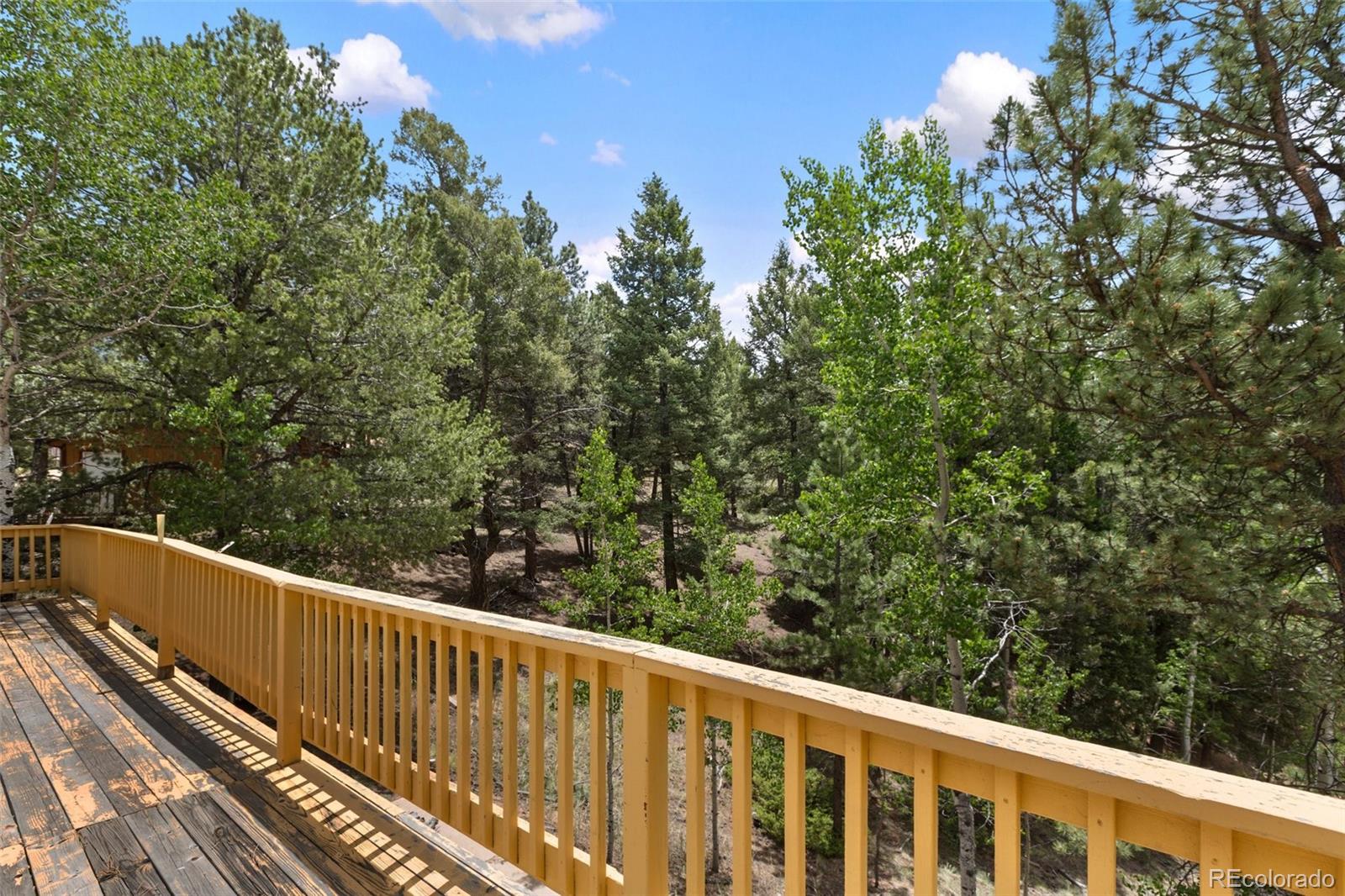 MLS Image #19 for 124  cradle lake drive,divide, Colorado