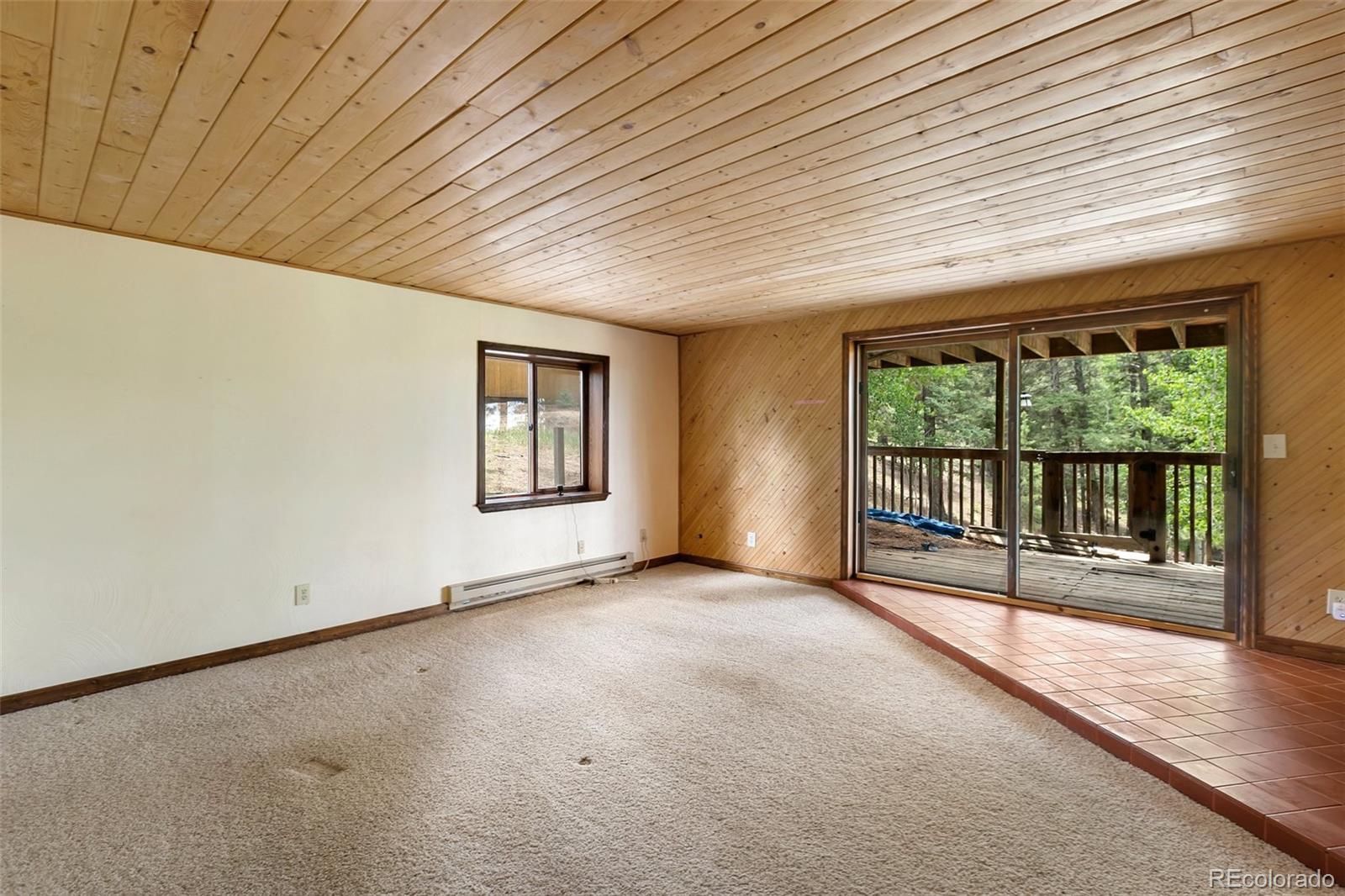 MLS Image #21 for 124  cradle lake drive,divide, Colorado