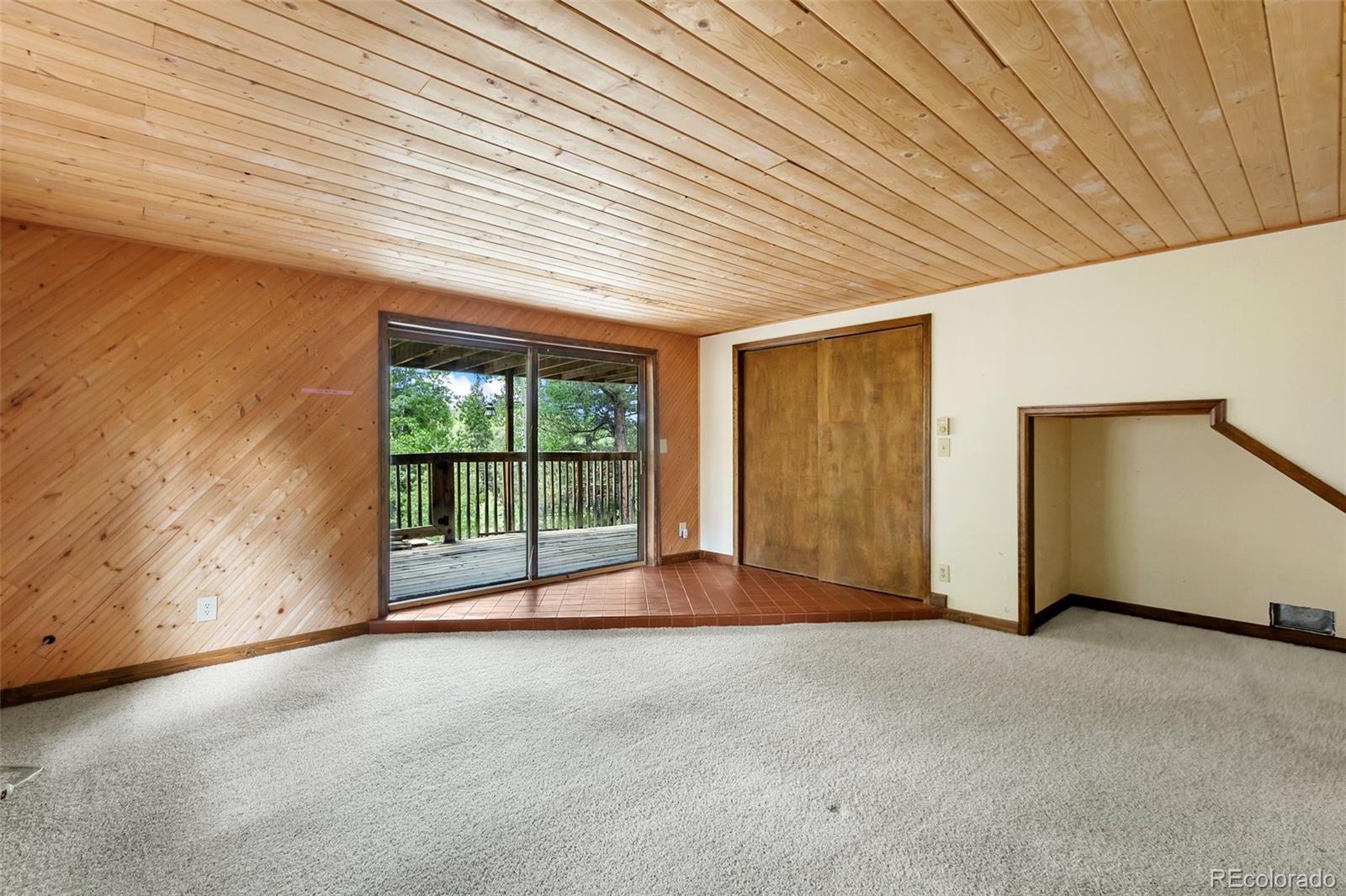 MLS Image #22 for 124  cradle lake drive,divide, Colorado