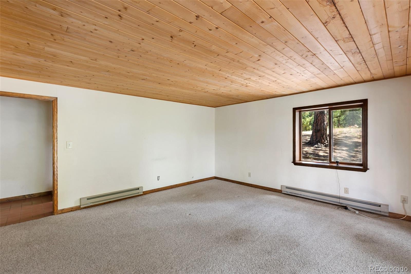 MLS Image #24 for 124  cradle lake drive,divide, Colorado