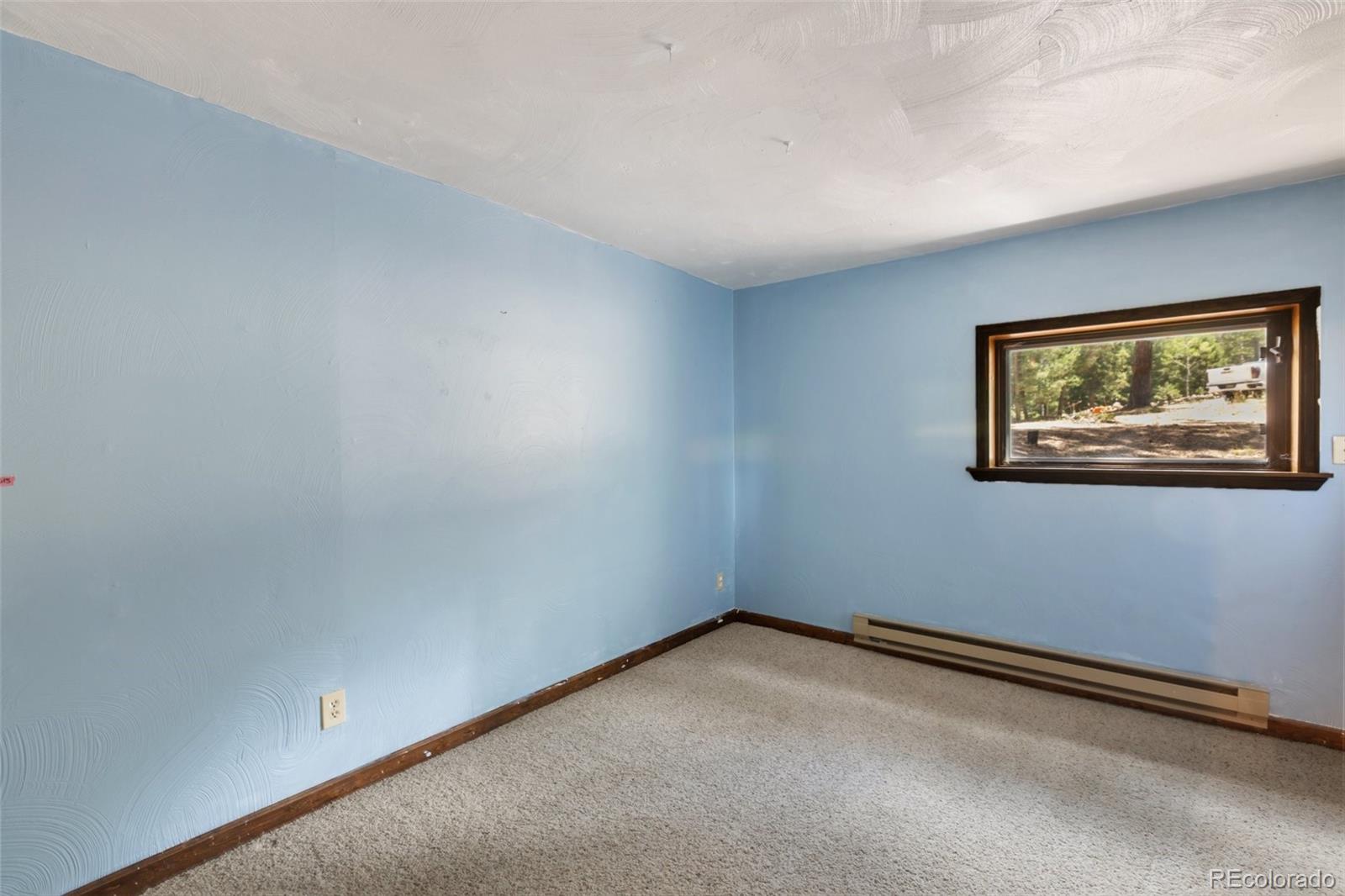 MLS Image #25 for 124  cradle lake drive,divide, Colorado