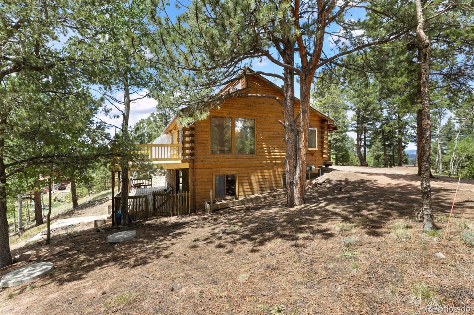 MLS Image #38 for 124  cradle lake drive,divide, Colorado