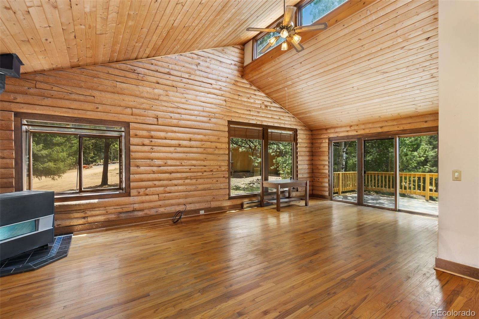 MLS Image #4 for 124  cradle lake drive,divide, Colorado