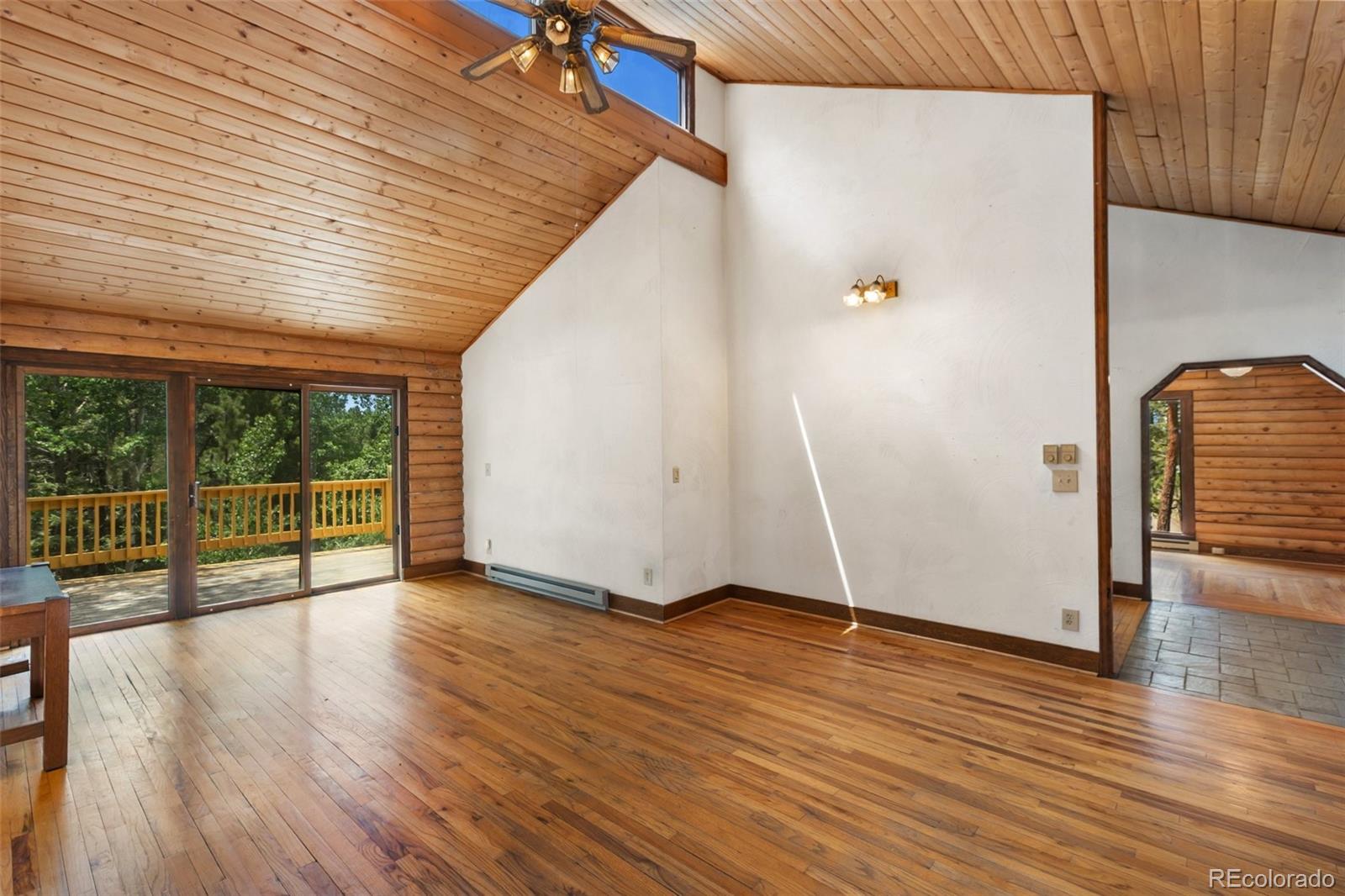 MLS Image #5 for 124  cradle lake drive,divide, Colorado