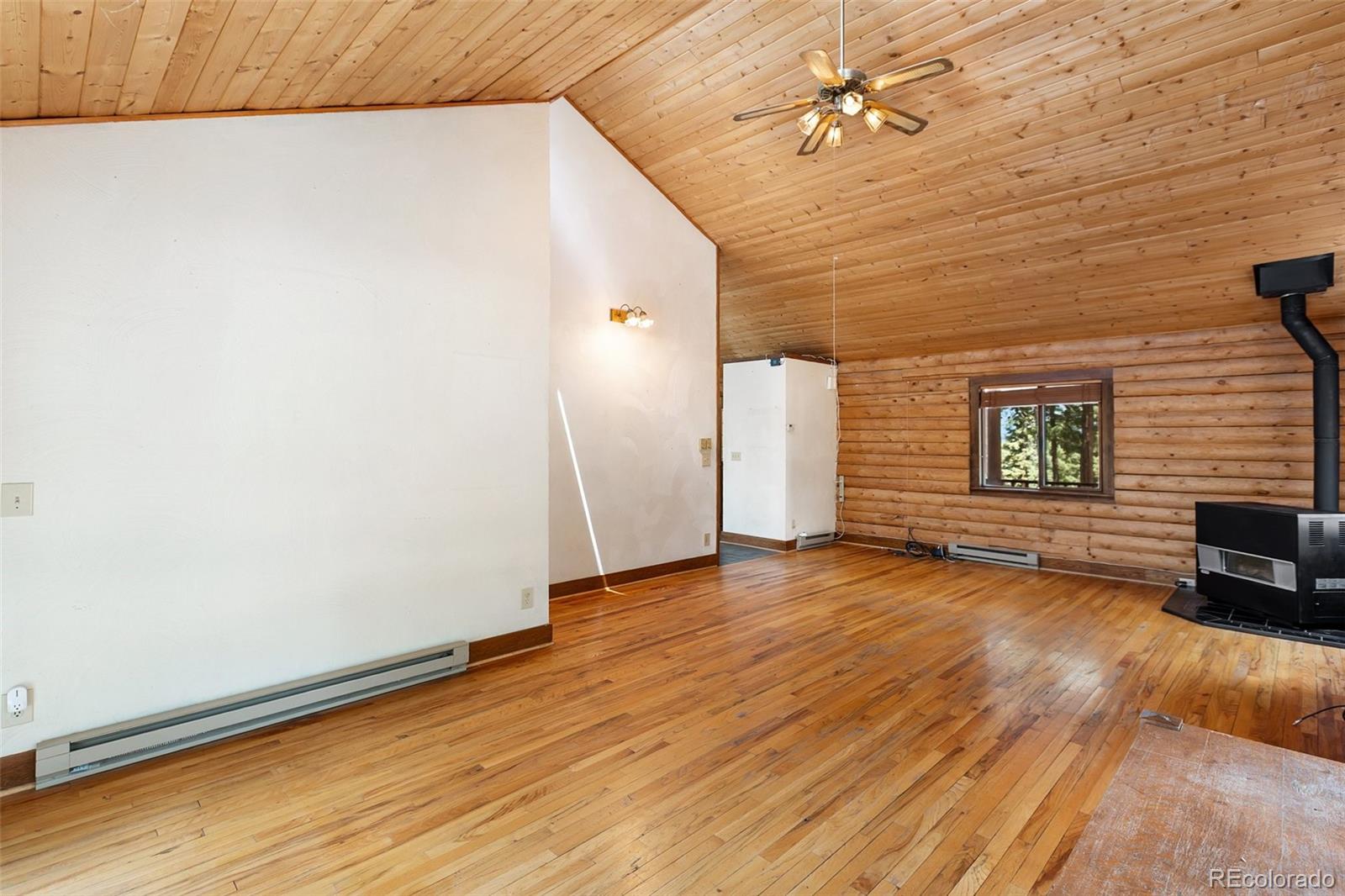 MLS Image #6 for 124  cradle lake drive,divide, Colorado