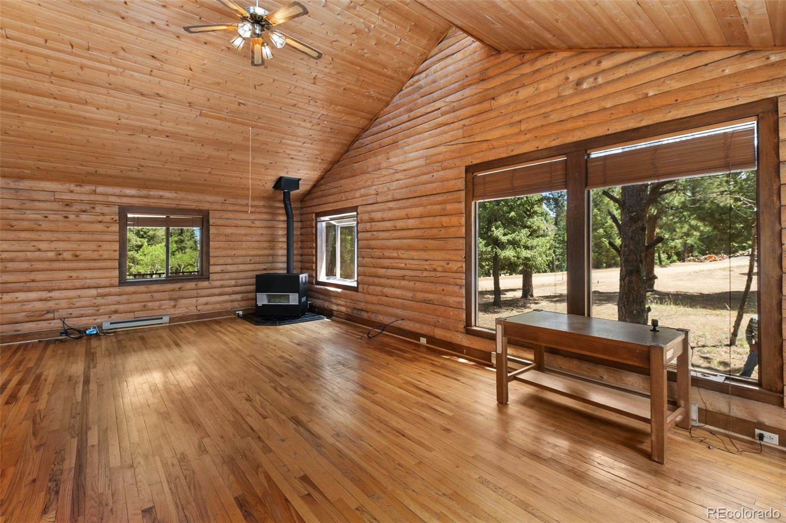 MLS Image #7 for 124  cradle lake drive,divide, Colorado