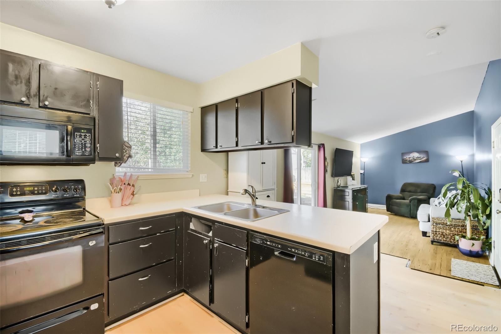 MLS Image #7 for 3720 e 99th way,denver, Colorado