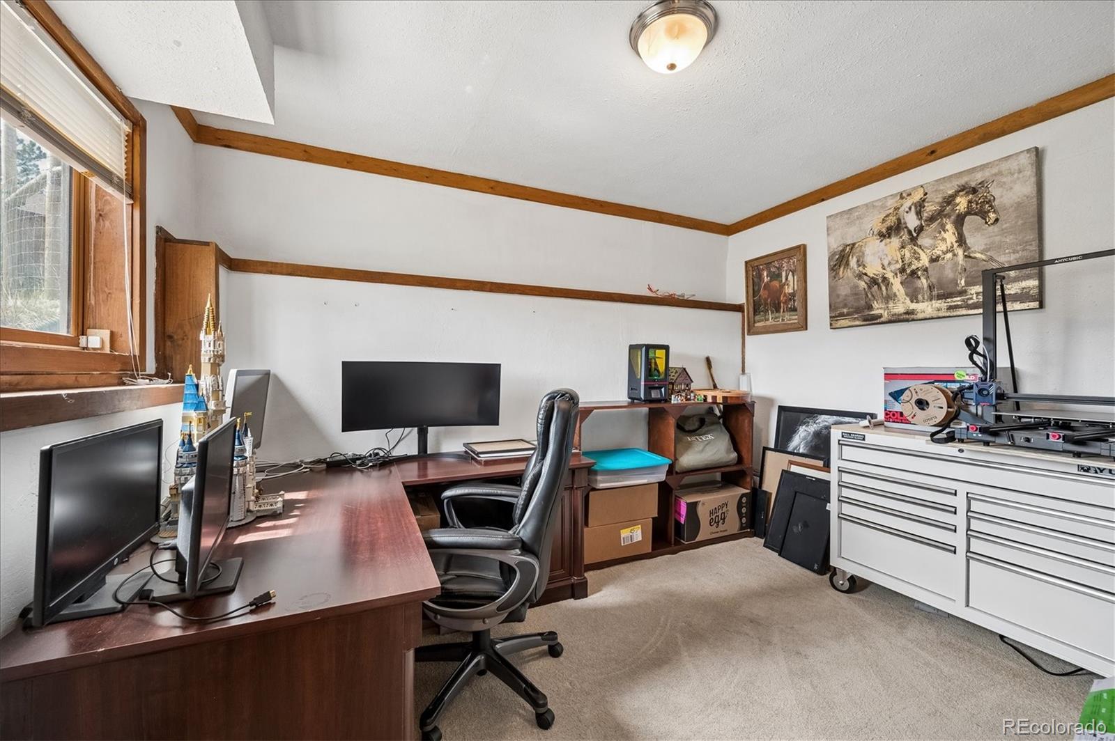 MLS Image #22 for 175  blackbird drive,bailey, Colorado