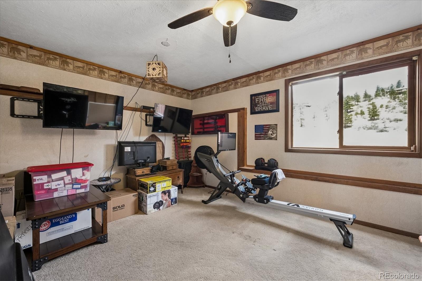 MLS Image #23 for 175  blackbird drive,bailey, Colorado
