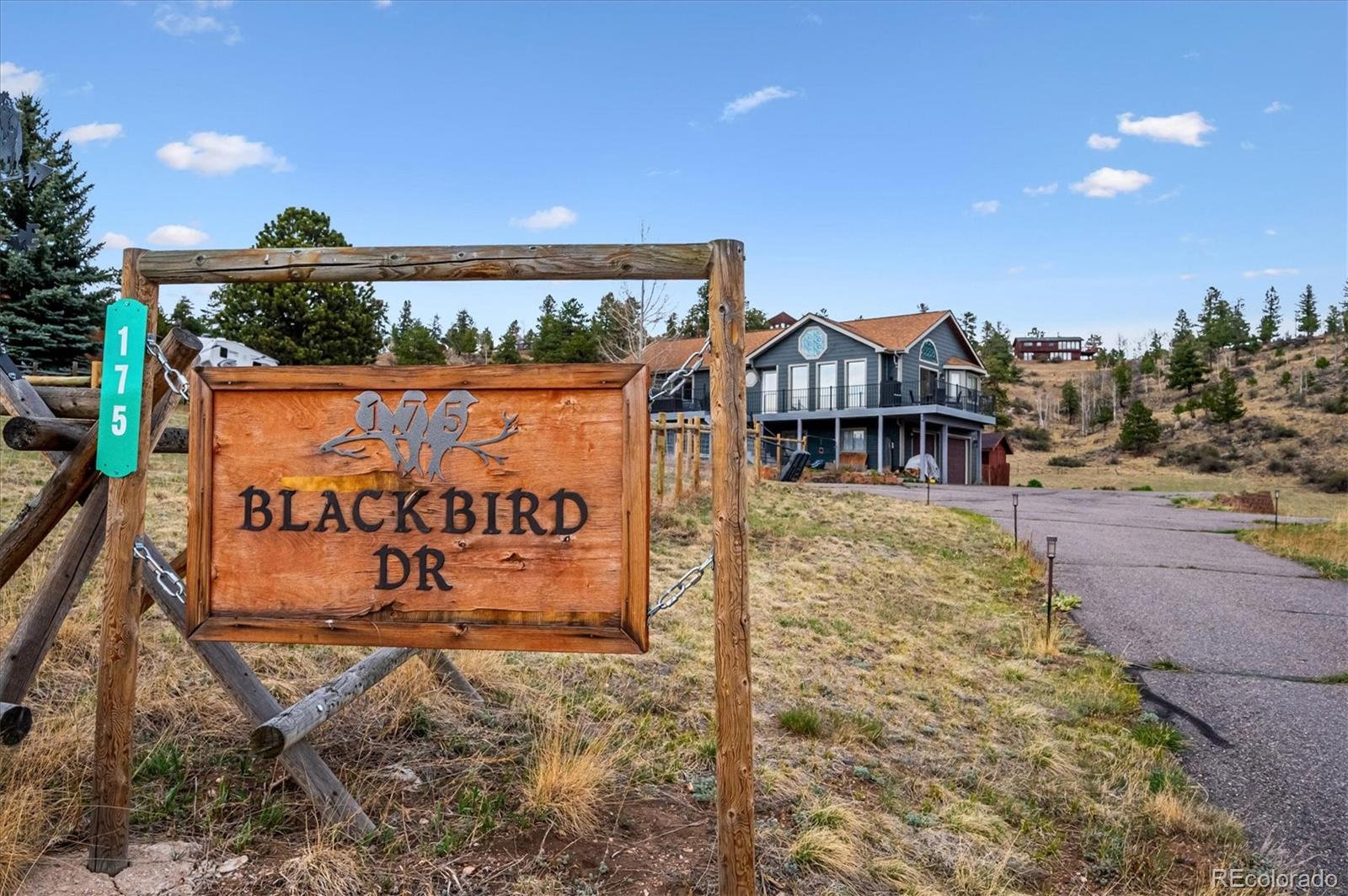 MLS Image #32 for 175  blackbird drive,bailey, Colorado