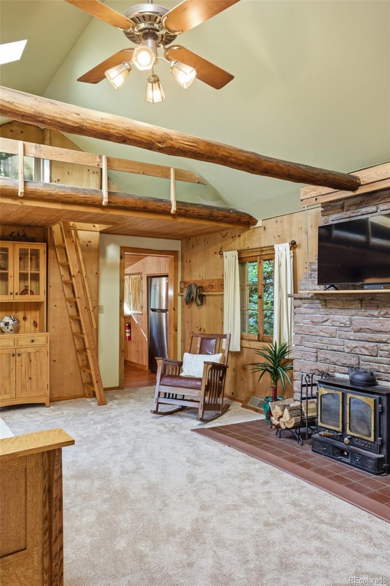 MLS Image #10 for 5541  parmalee gulch road,indian hills, Colorado