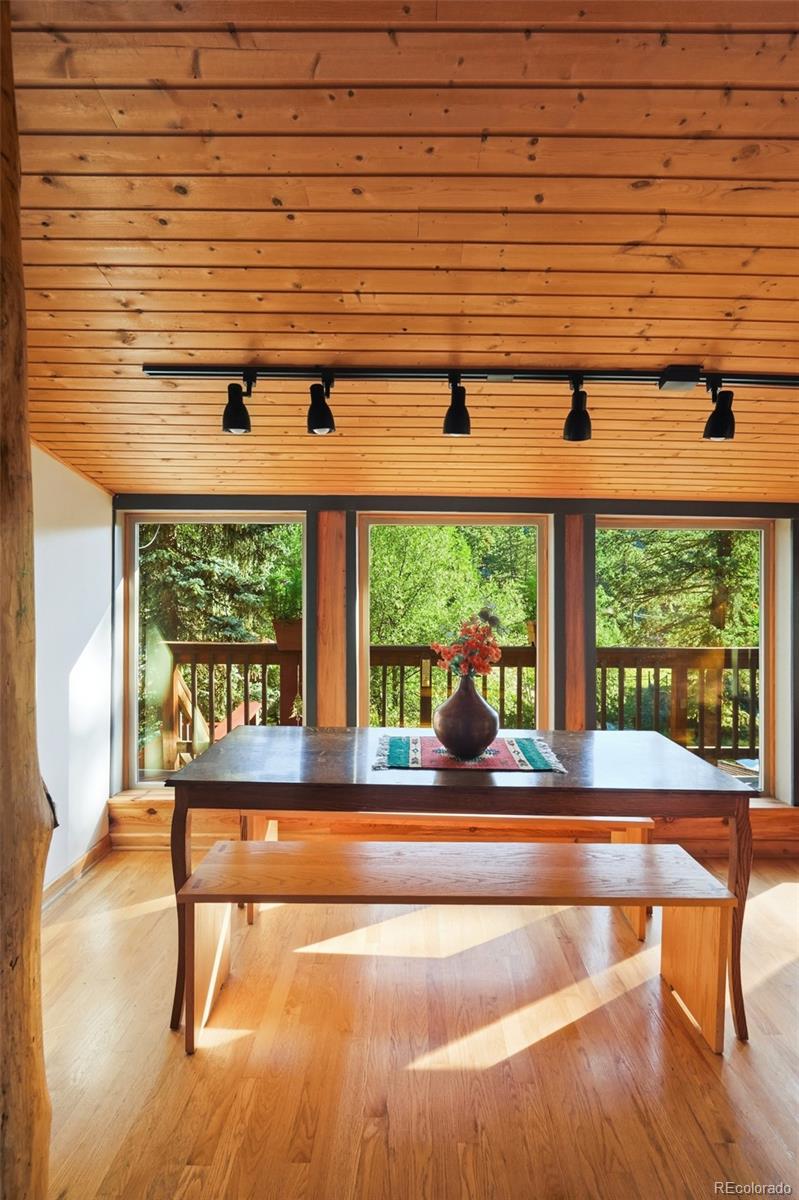 MLS Image #13 for 5541  parmalee gulch road,indian hills, Colorado