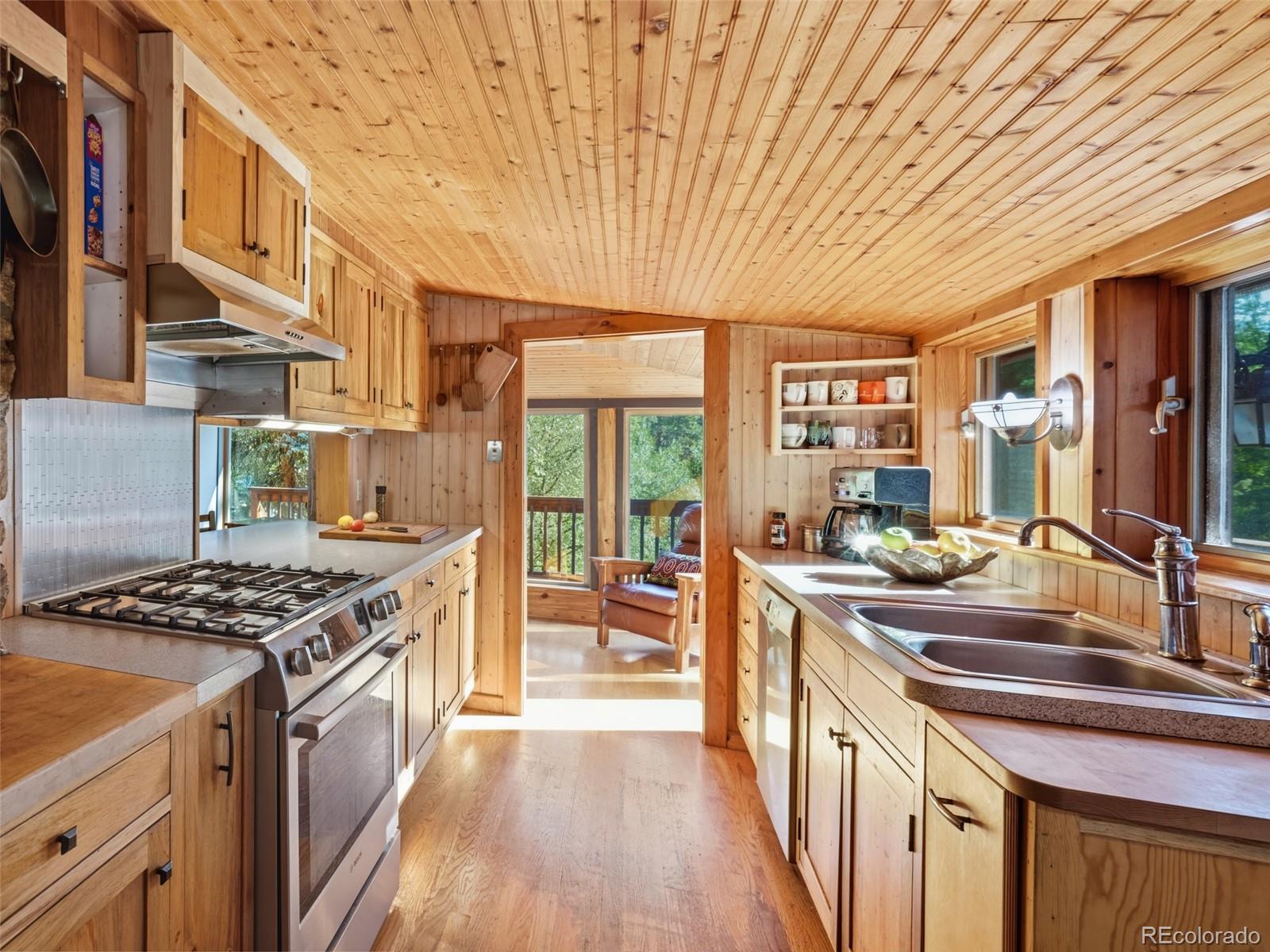 MLS Image #16 for 5541  parmalee gulch road,indian hills, Colorado