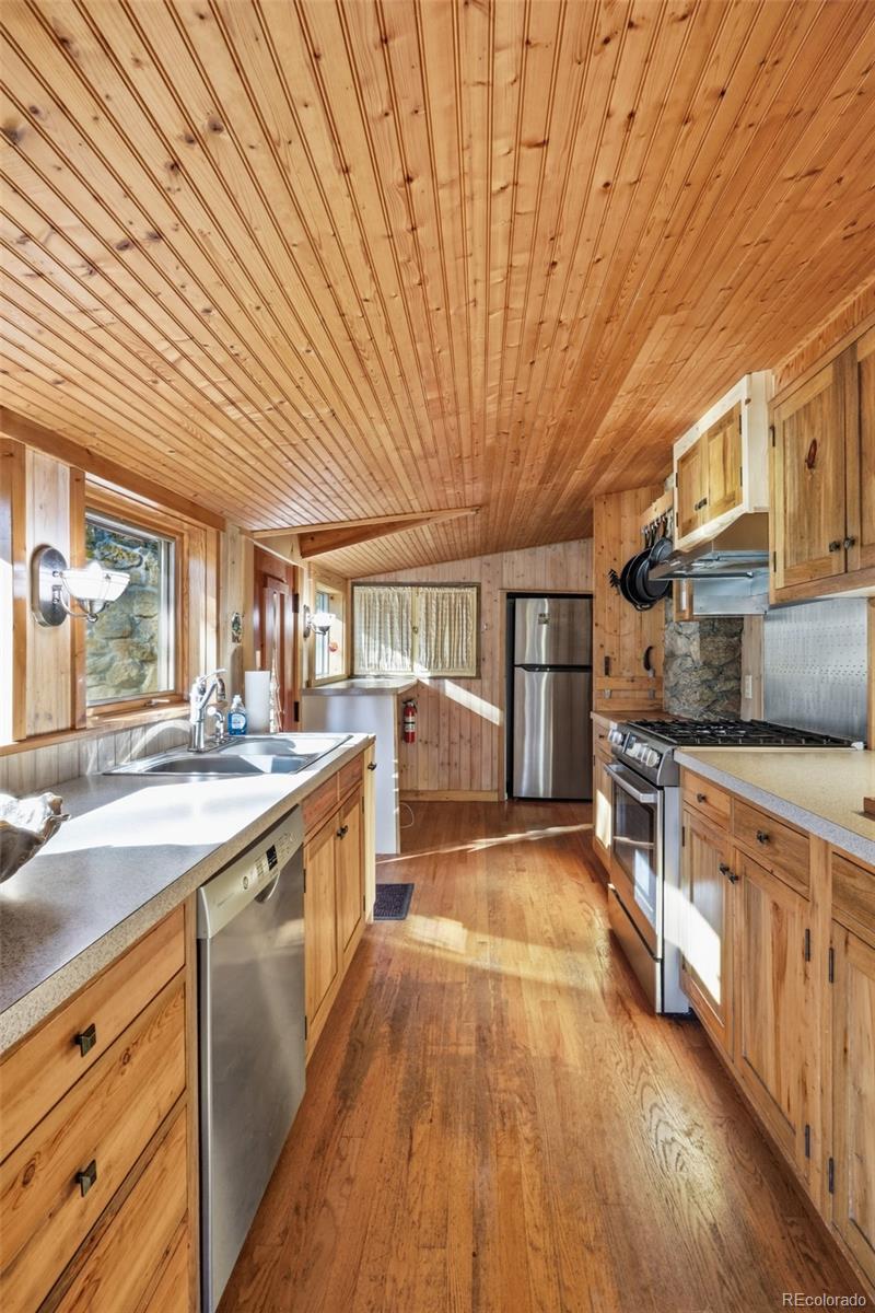 MLS Image #17 for 5541  parmalee gulch road,indian hills, Colorado