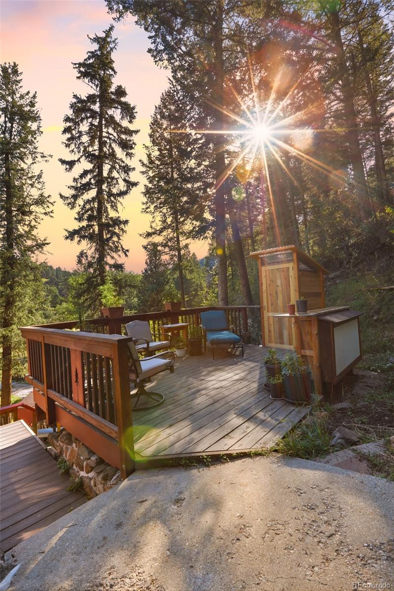 MLS Image #18 for 5541  parmalee gulch road,indian hills, Colorado