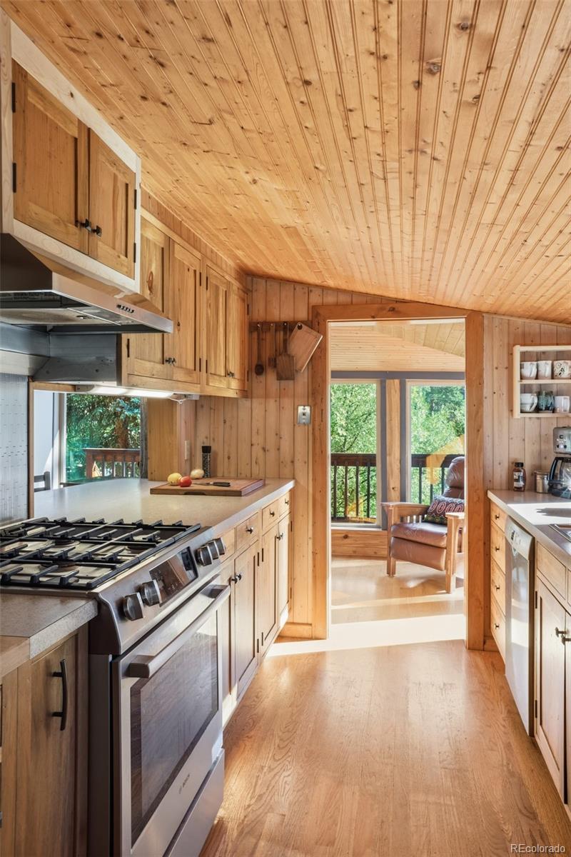 MLS Image #19 for 5541  parmalee gulch road,indian hills, Colorado