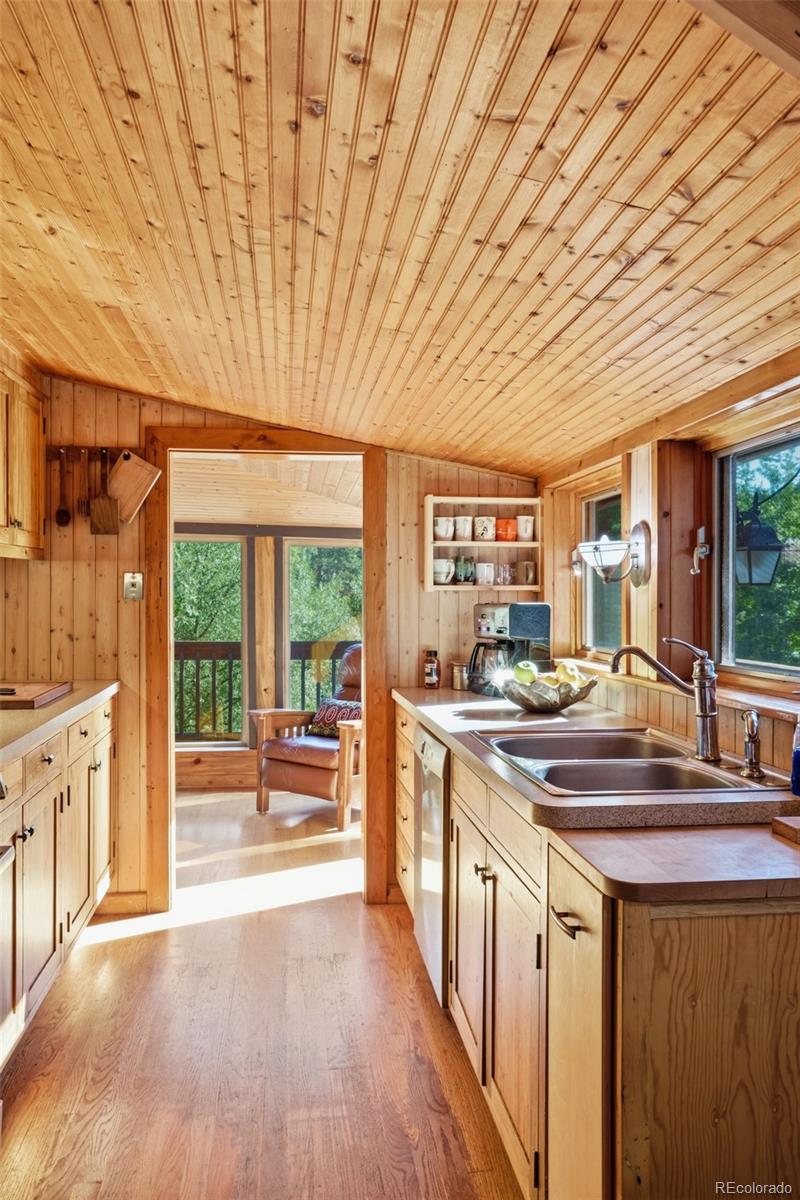 MLS Image #22 for 5541  parmalee gulch road,indian hills, Colorado