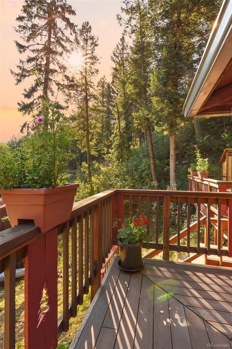 MLS Image #26 for 5541  parmalee gulch road,indian hills, Colorado
