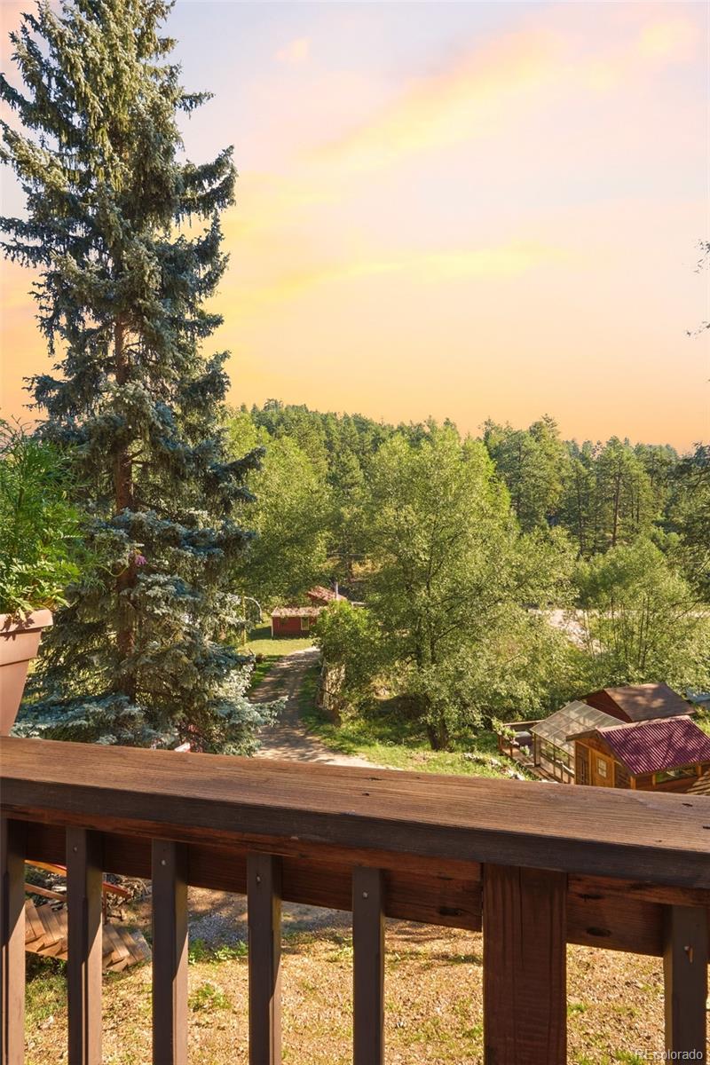 MLS Image #27 for 5541  parmalee gulch road,indian hills, Colorado