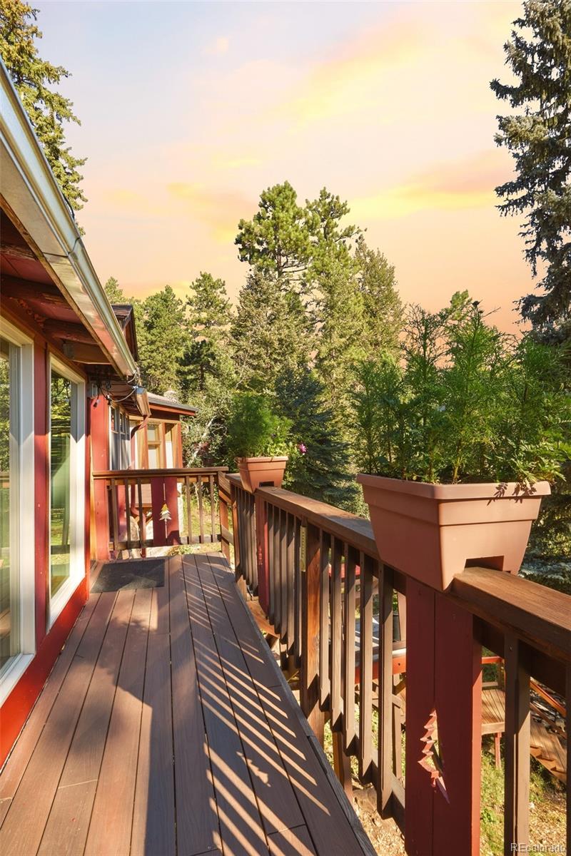 MLS Image #28 for 5541  parmalee gulch road,indian hills, Colorado