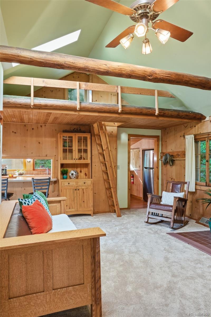 MLS Image #9 for 5541  parmalee gulch road,indian hills, Colorado