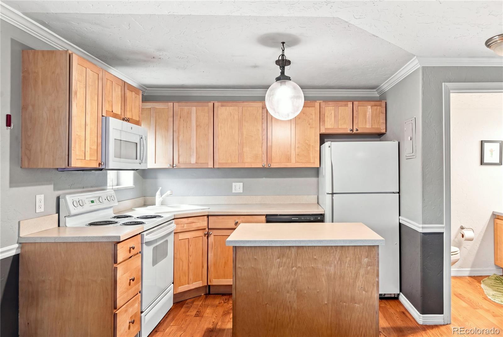 MLS Image #16 for 1243  vine street,denver, Colorado