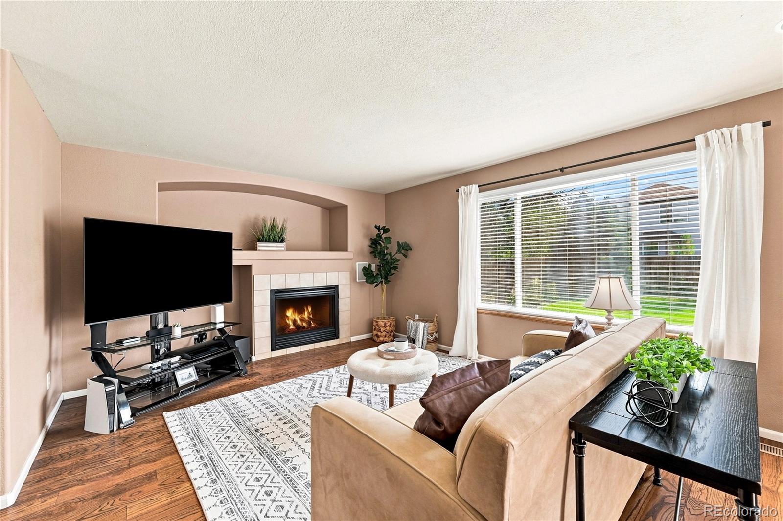MLS Image #10 for 5369  hospitality place,parker, Colorado