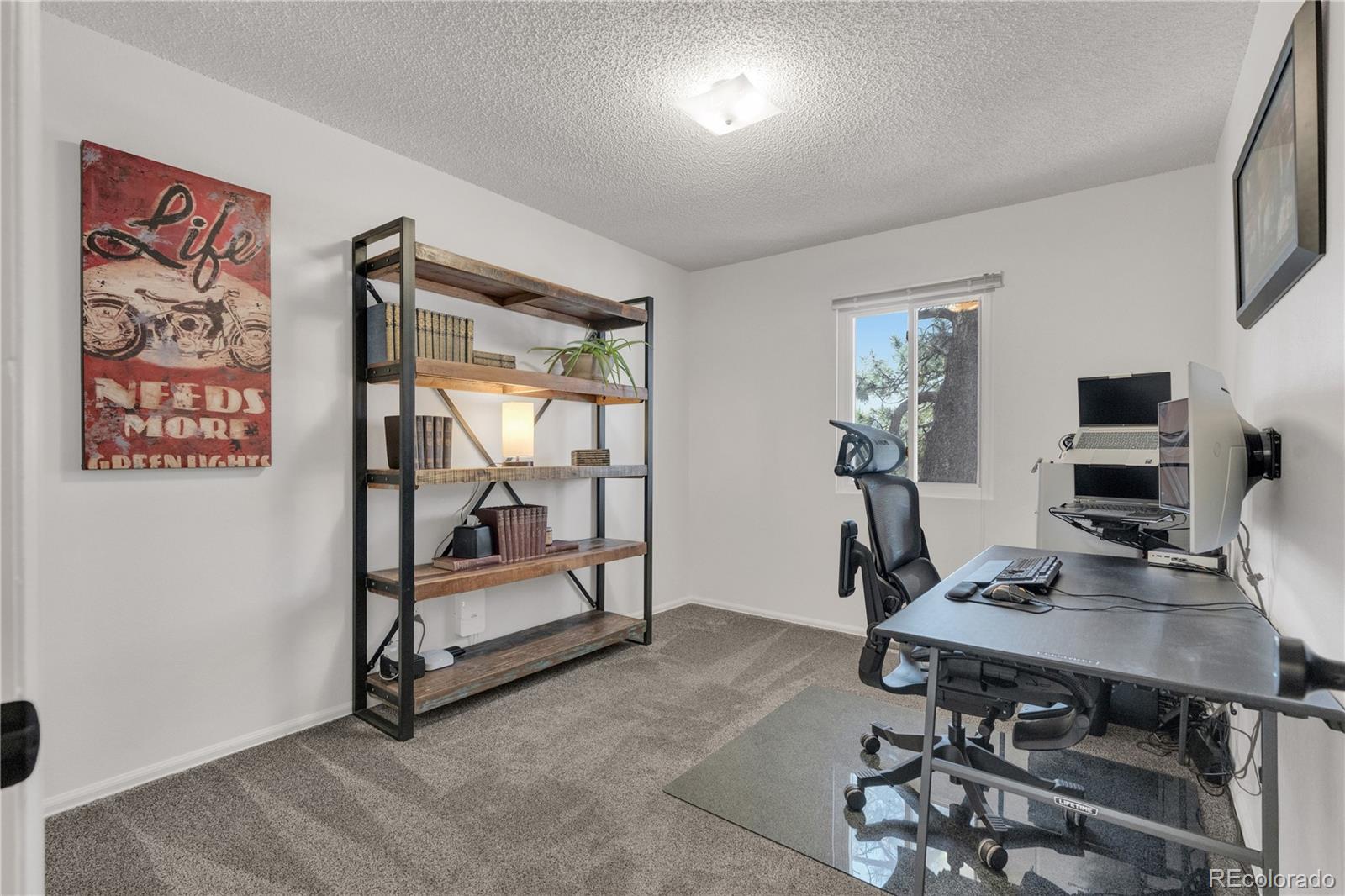MLS Image #16 for 5529  galena drive,colorado springs, Colorado