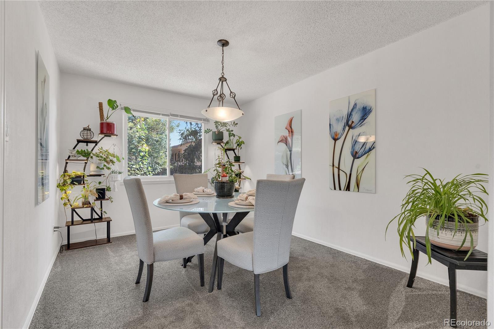 MLS Image #7 for 5529  galena drive,colorado springs, Colorado