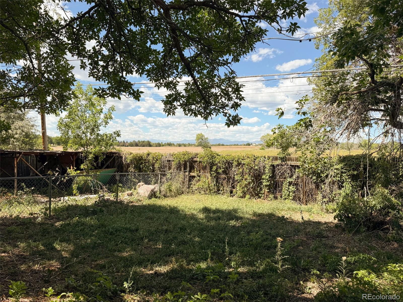 MLS Image #14 for 801  ash street,broomfield, Colorado