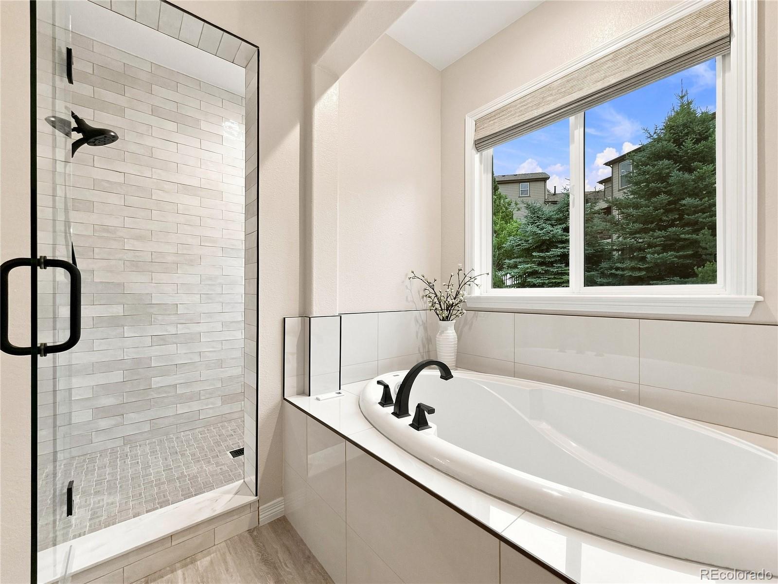 MLS Image #23 for 2794  pemberly avenue,highlands ranch, Colorado