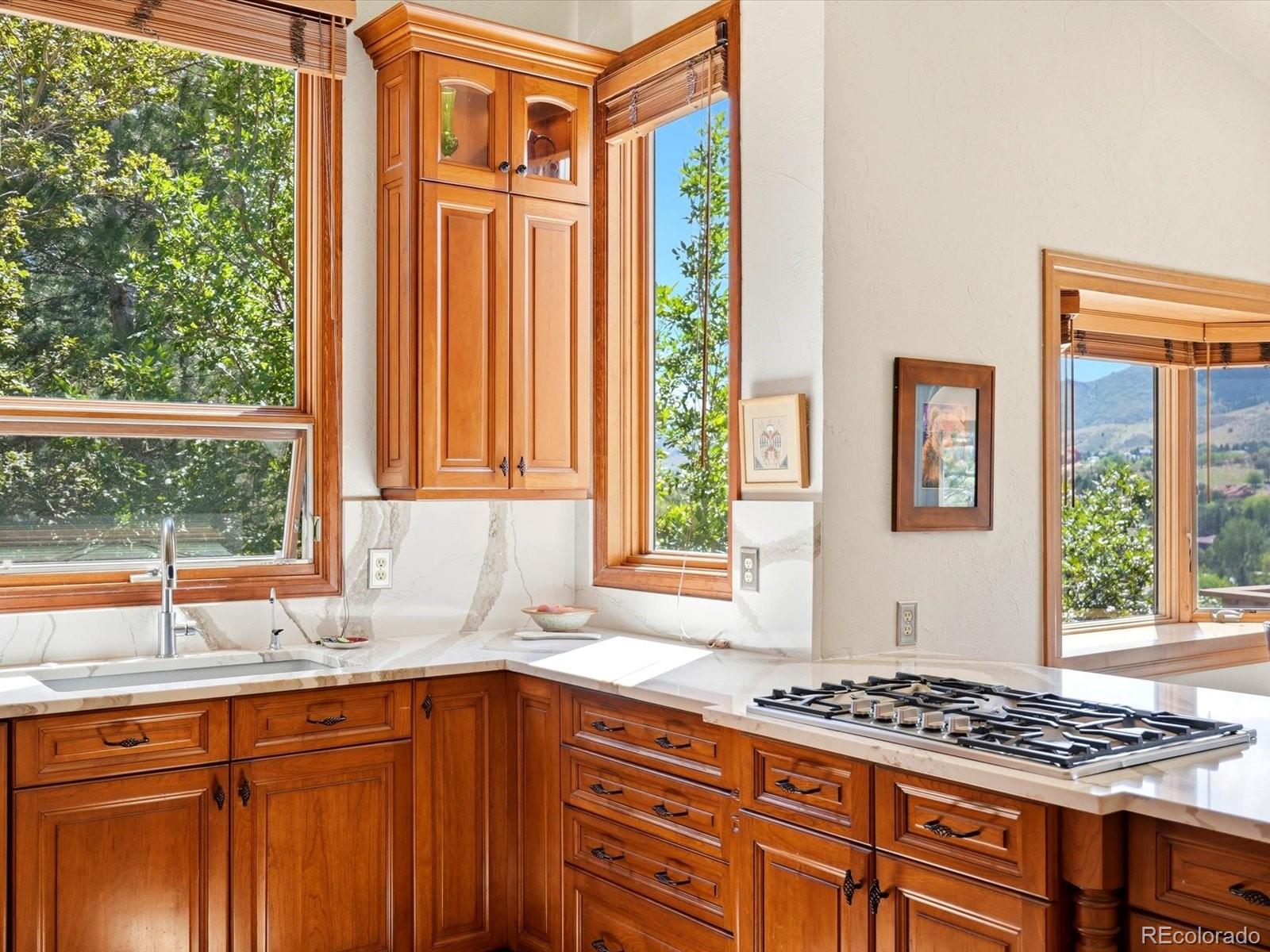 MLS Image #5 for 5961  crestbrook drive,morrison, Colorado