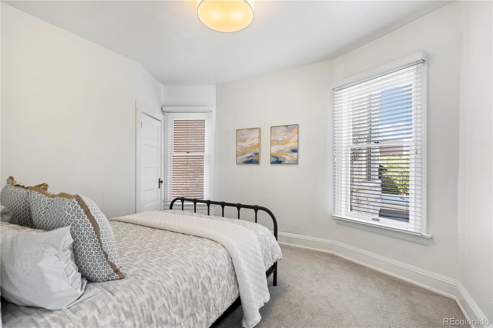 MLS Image #26 for 1576 n emerson street,denver, Colorado