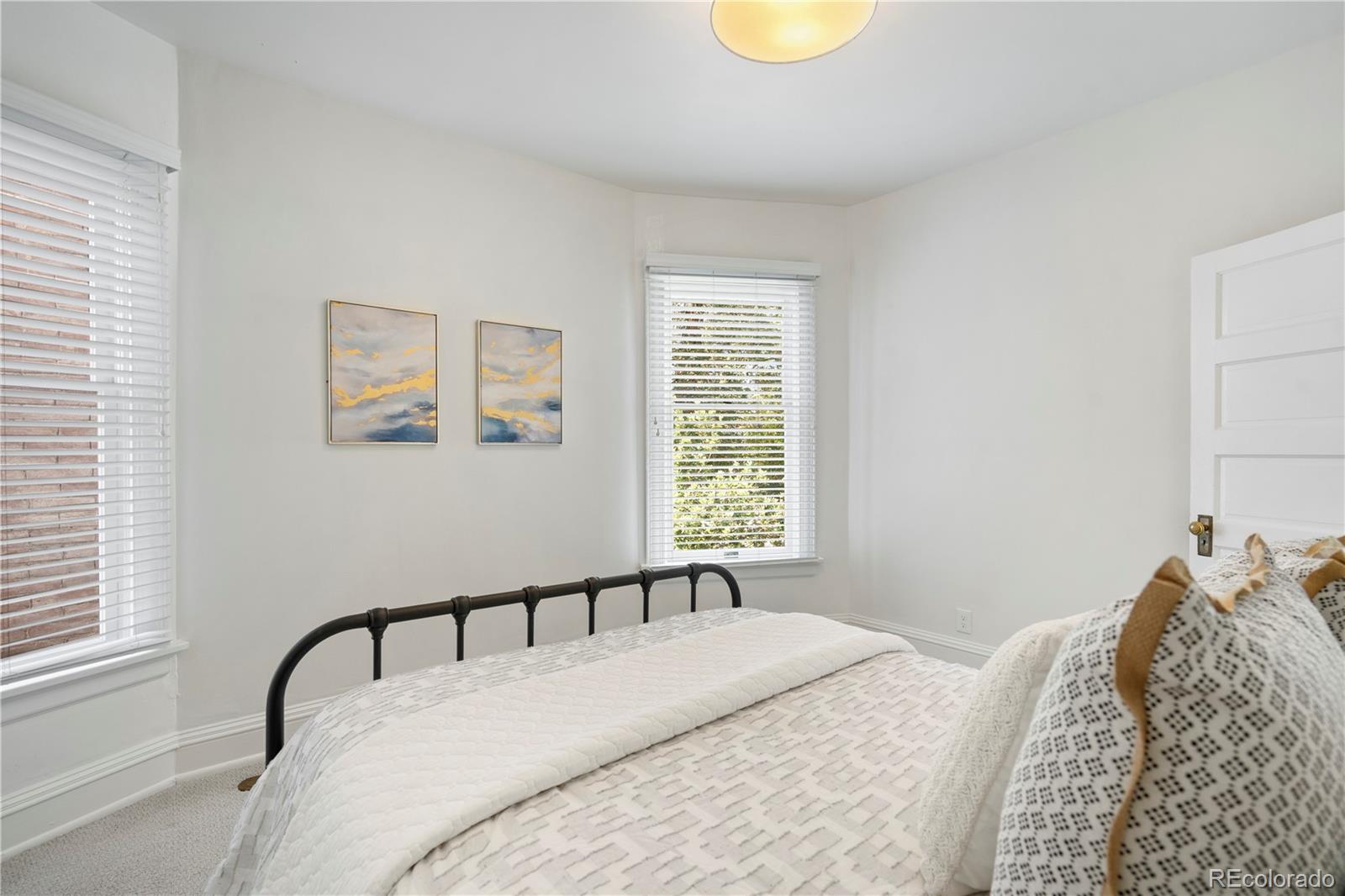 MLS Image #28 for 1576 n emerson street,denver, Colorado