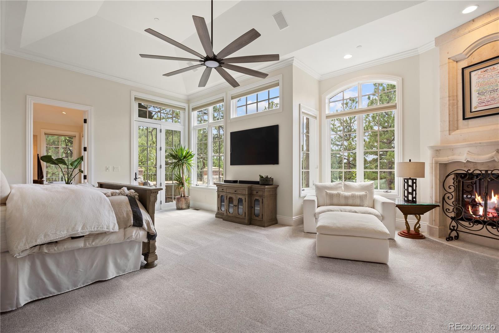 MLS Image #10 for 968  country club parkway,castle rock, Colorado