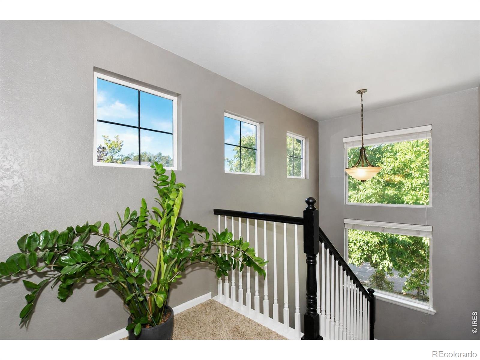 MLS Image #18 for 1414  canal drive,windsor, Colorado