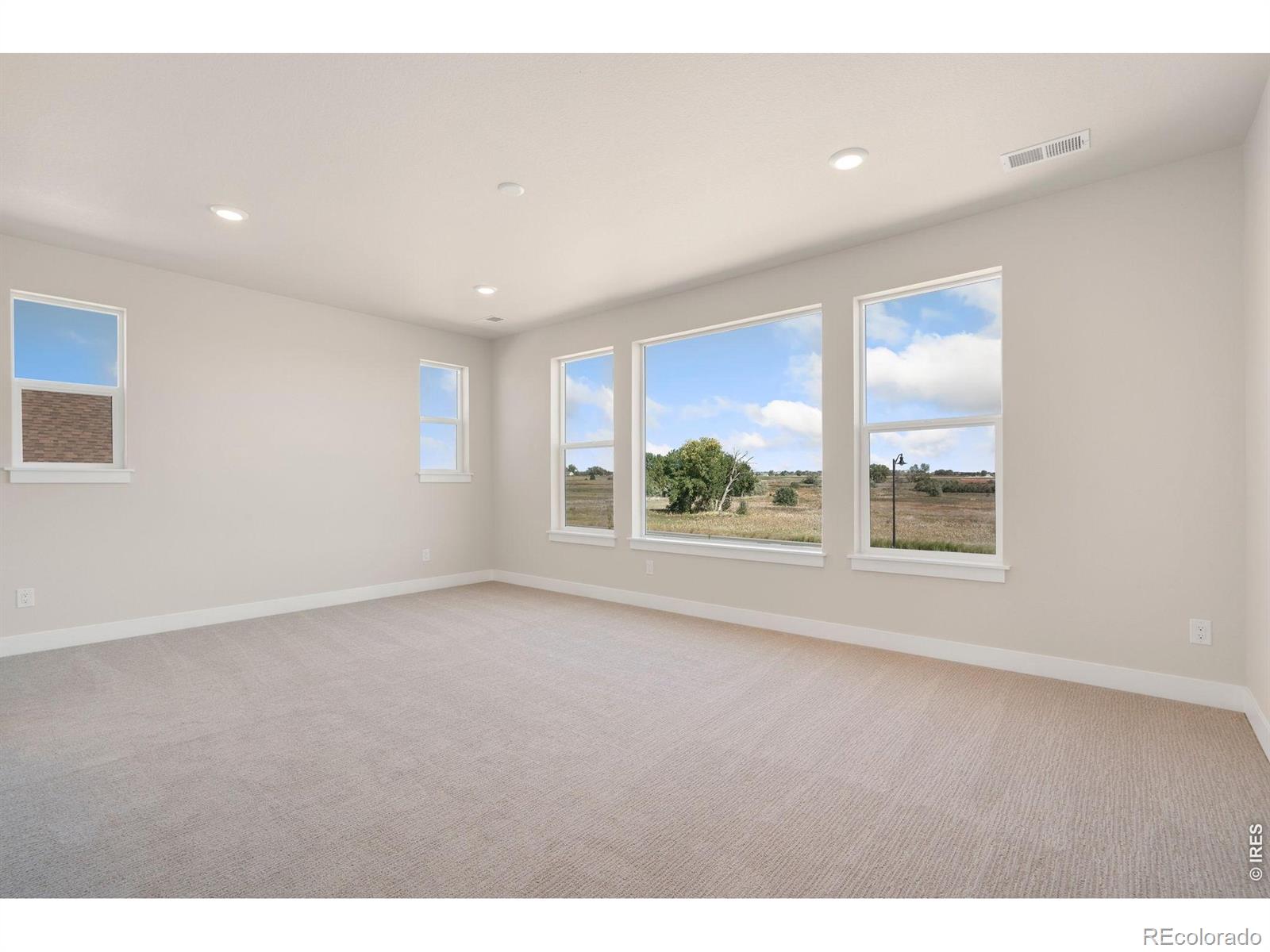 MLS Image #10 for 1284  weller street,timnath, Colorado