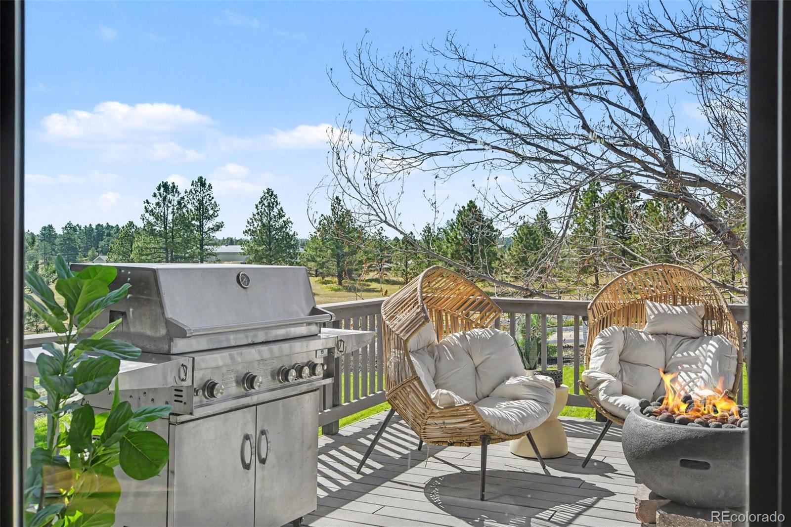 MLS Image #39 for 4990  black fox circle,elizabeth, Colorado