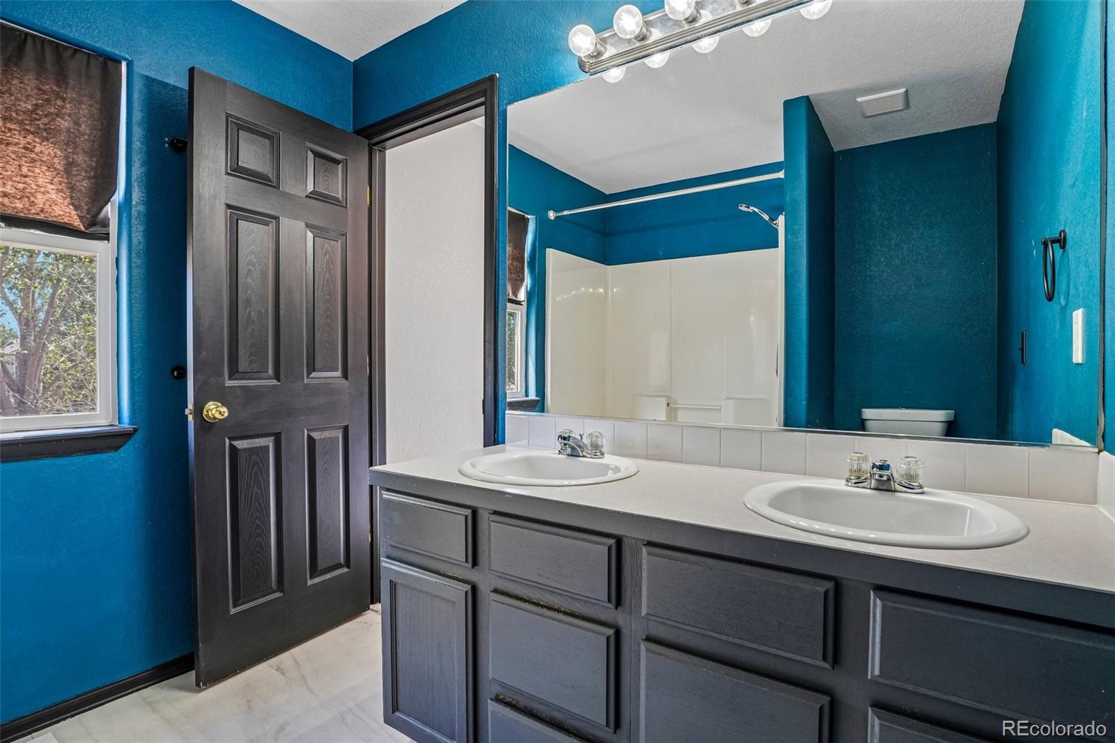 MLS Image #19 for 304  green teal drive,loveland, Colorado