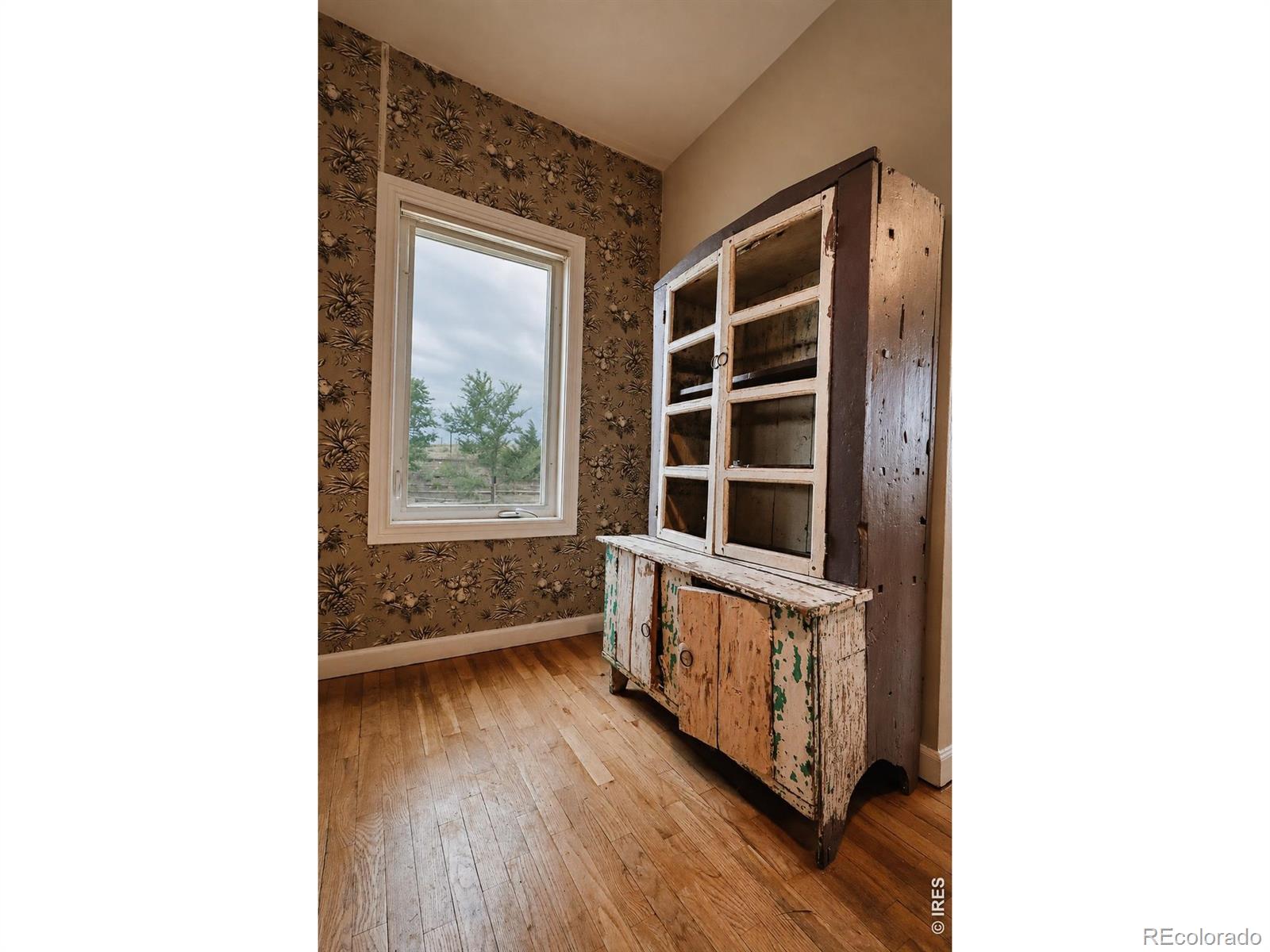 MLS Image #6 for 11742 n 59th street,longmont, Colorado