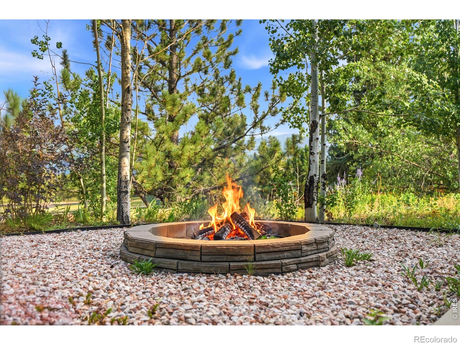 MLS Image #43 for 557  grand estates drive,estes park, Colorado