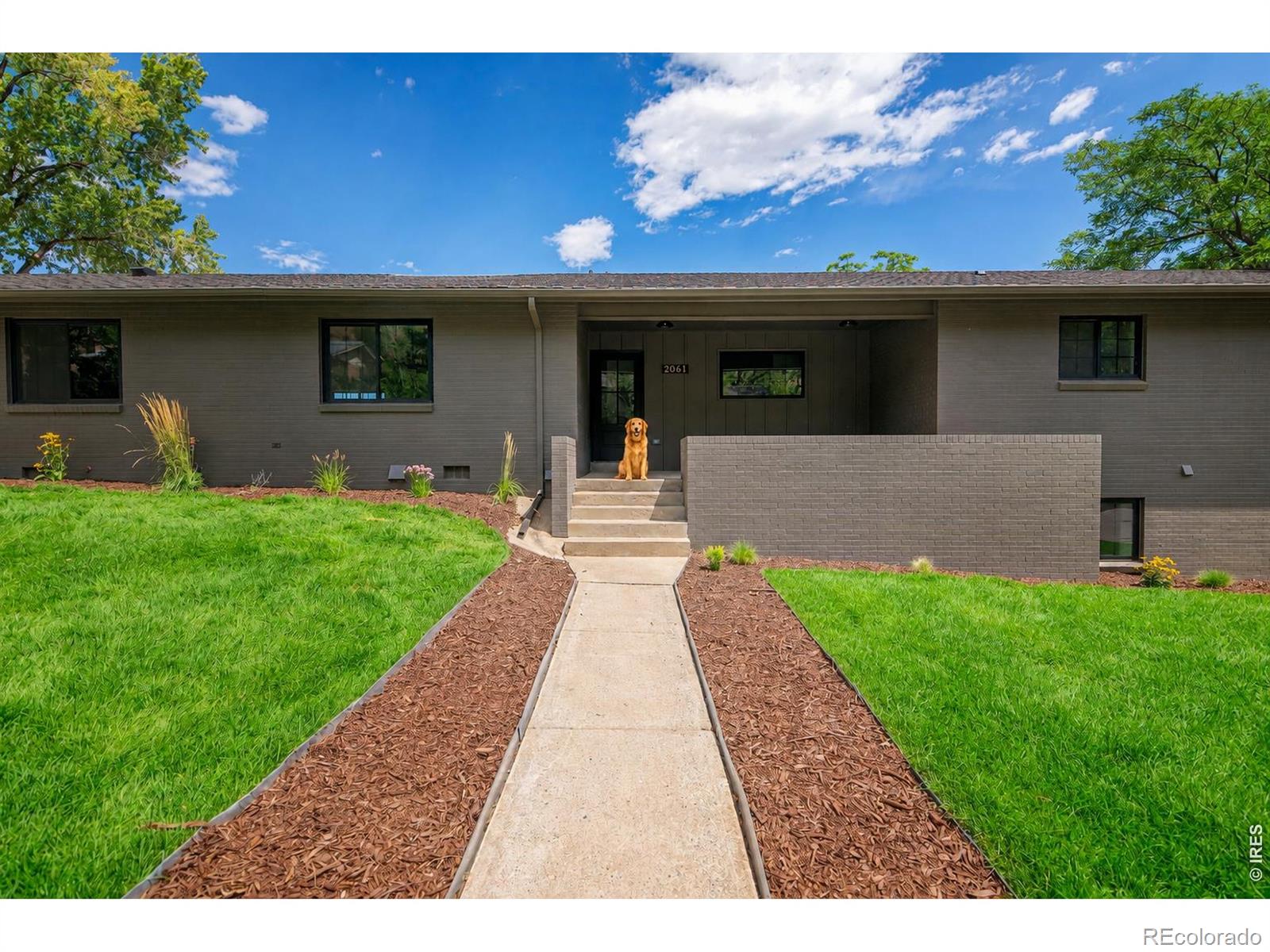 MLS Image #8 for 2061  mt zion drive,golden, Colorado