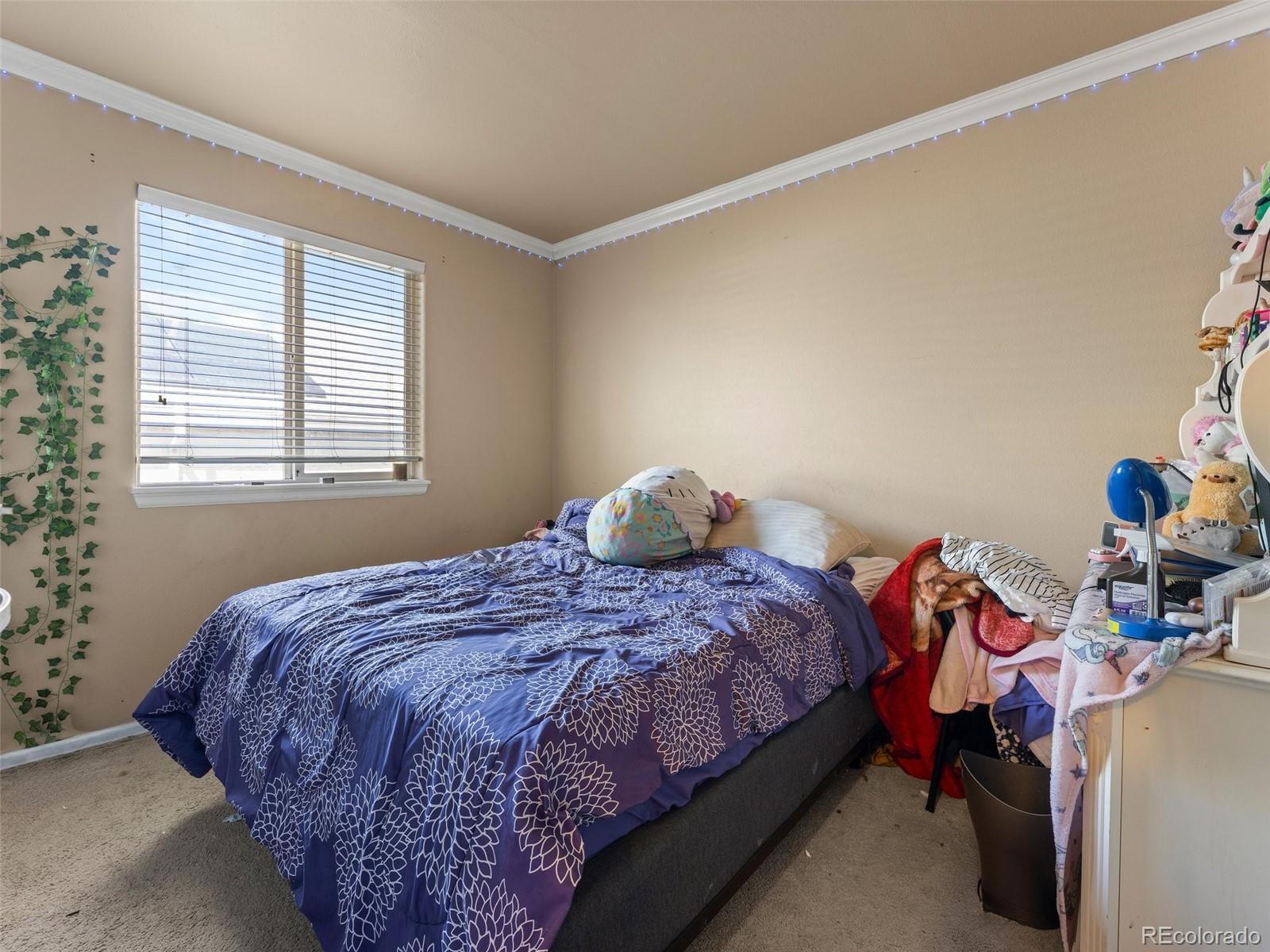 MLS Image #8 for 11214  gilcrest street,parker, Colorado
