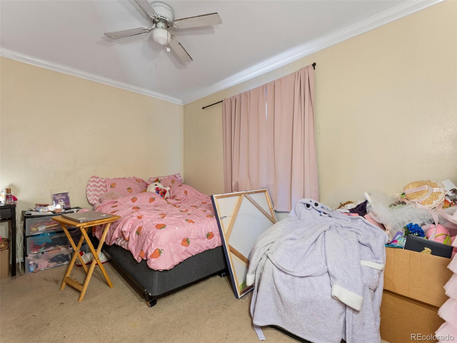 MLS Image #9 for 11214  gilcrest street,parker, Colorado