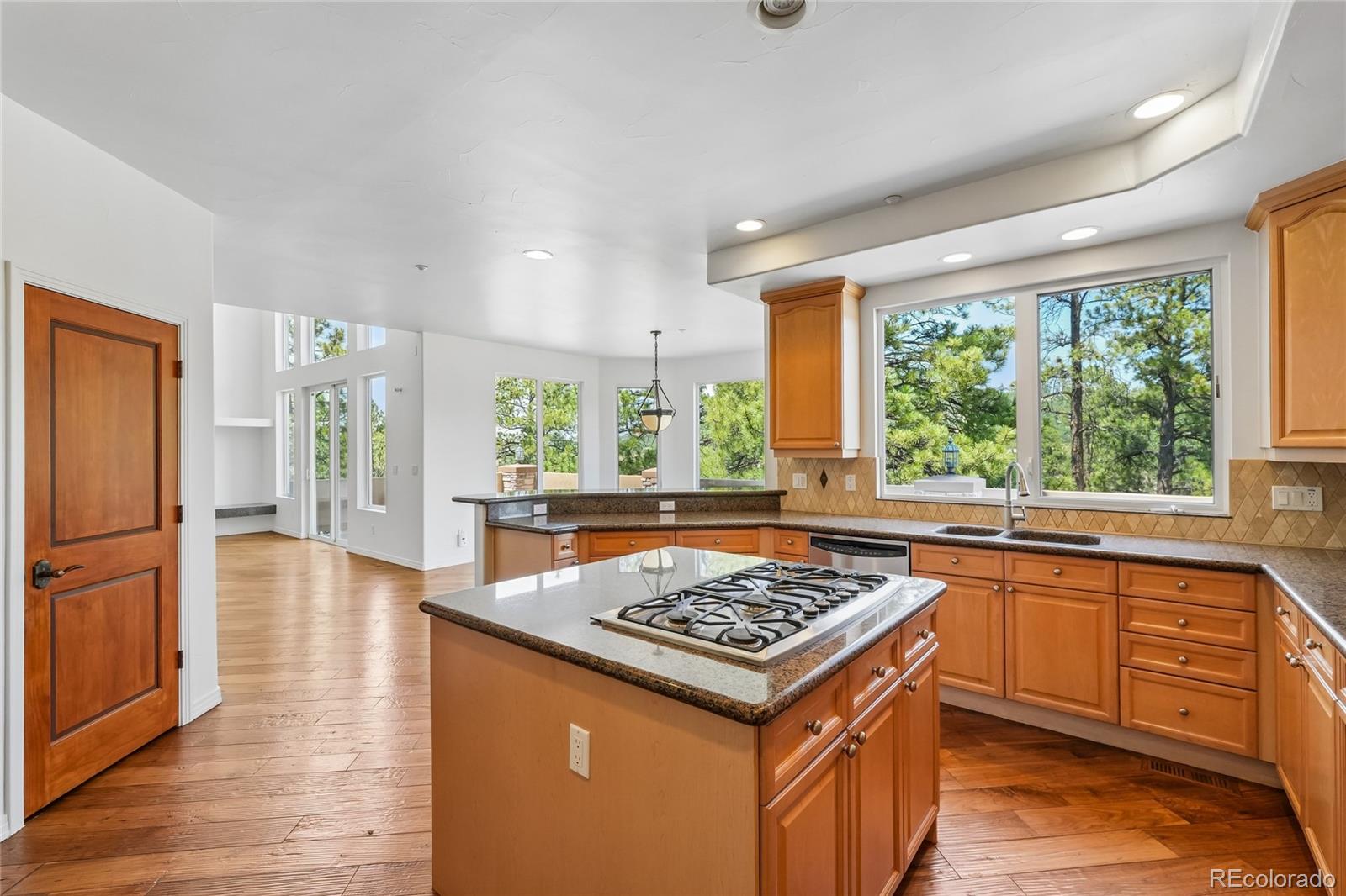 MLS Image #23 for 4730  tierra alta drive,castle rock, Colorado