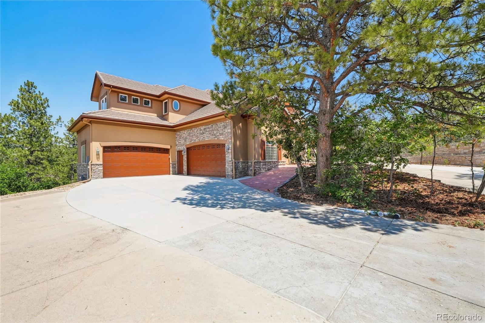 MLS Image #4 for 4730  tierra alta drive,castle rock, Colorado