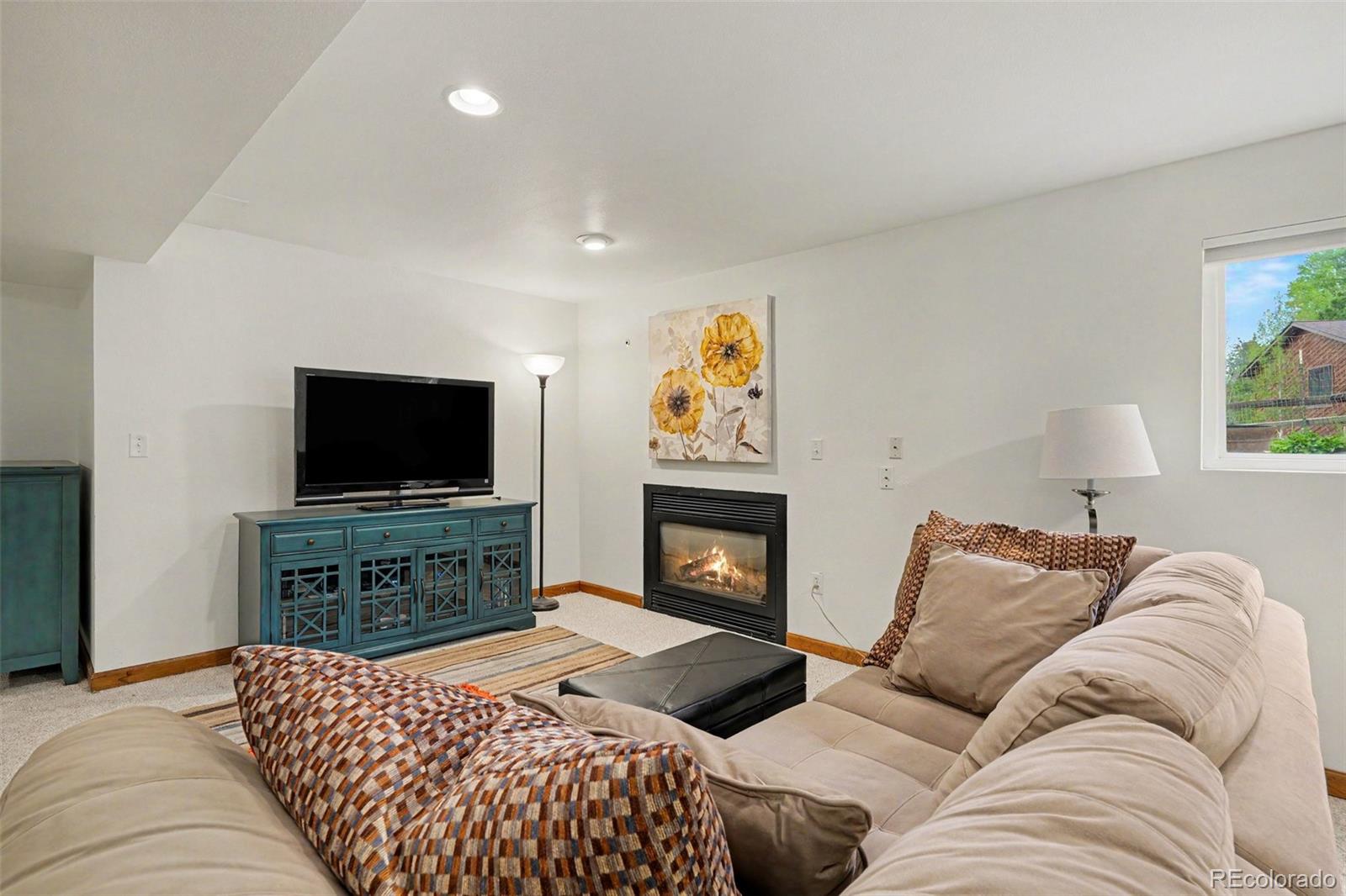 MLS Image #22 for 9381  mcshane court,parker, Colorado