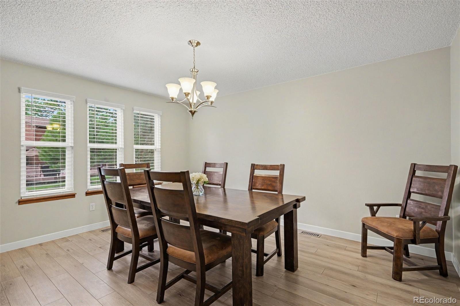MLS Image #7 for 9381  mcshane court,parker, Colorado