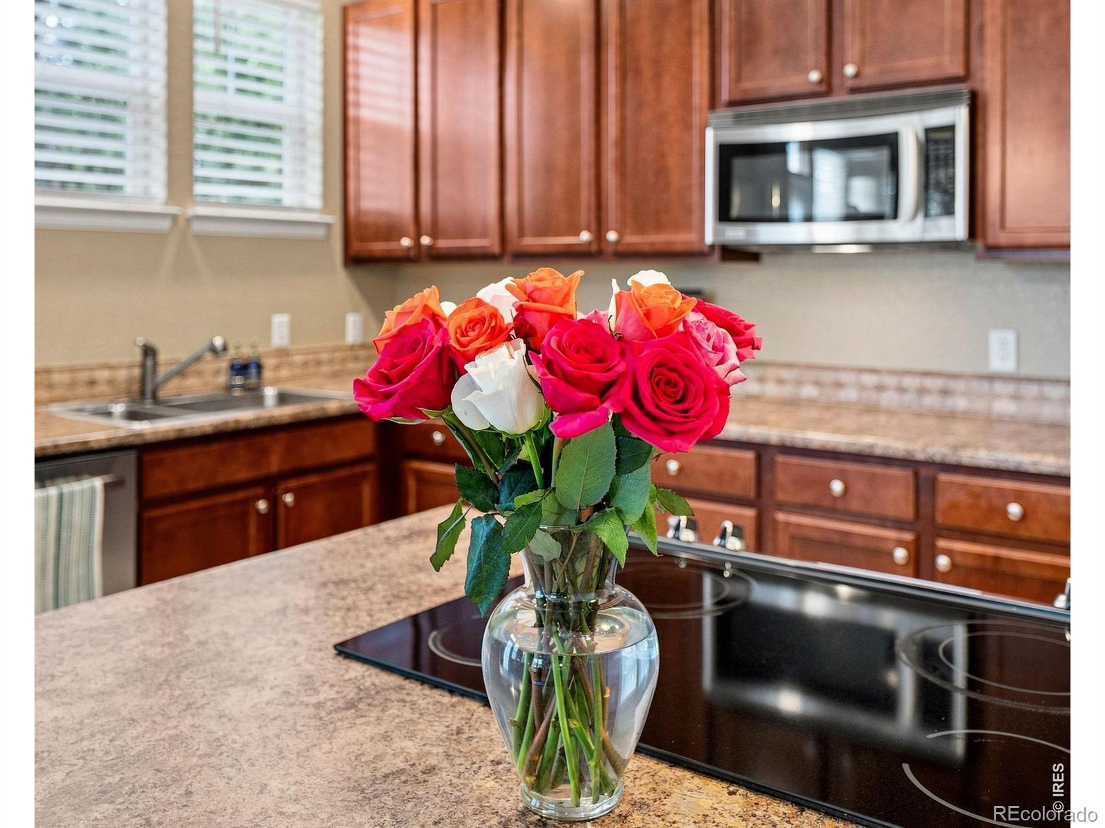 MLS Image #10 for 12802  king street,broomfield, Colorado