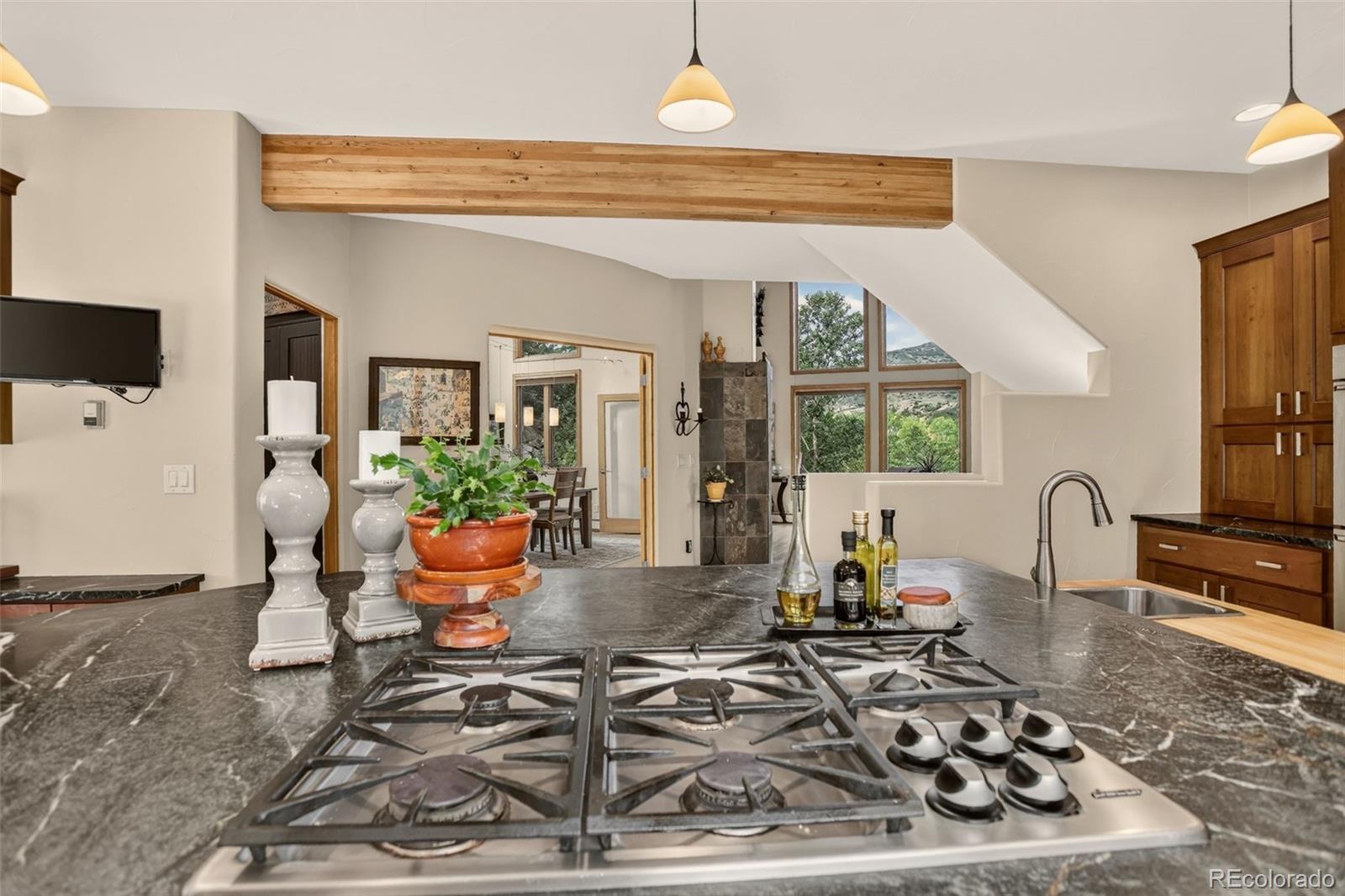 MLS Image #12 for 9193 s buffalo drive,littleton, Colorado